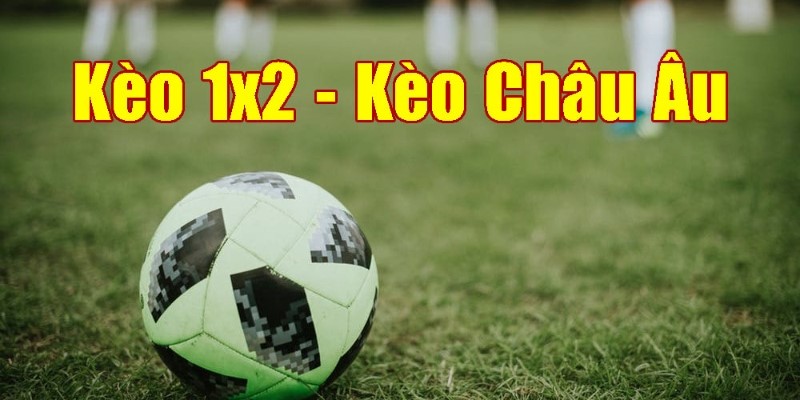 Cách bắt kèo 1x2 hay 